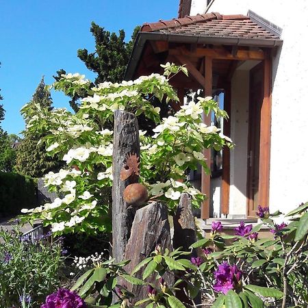 Fremdenzimmer Familie Foerster Филлинген-Швеннинген Экстерьер фото